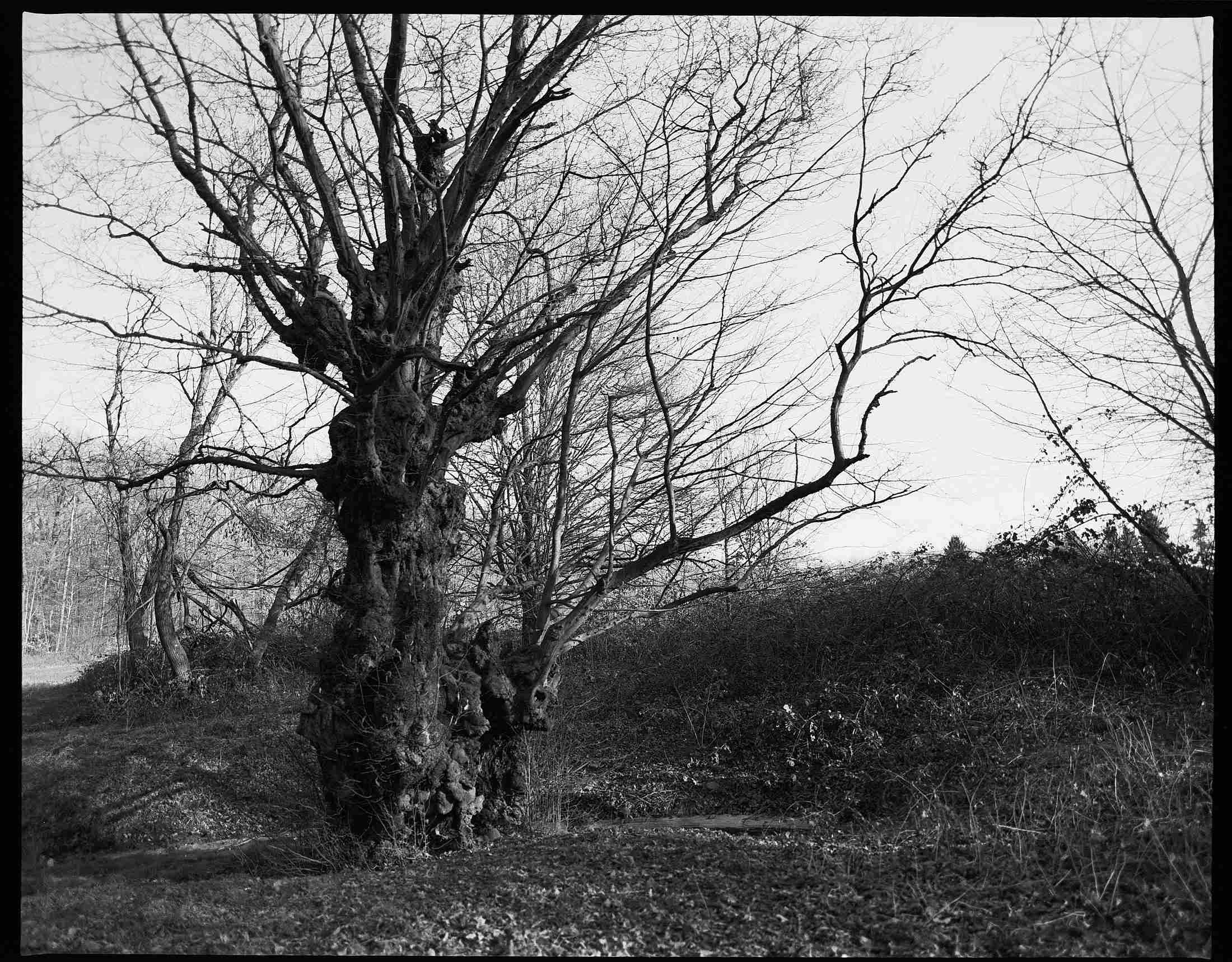 2018 02 24 Pentax 6x7  10